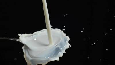 СМИ говорят о намерениях производителей поднять отпускные цены на молоко, Минсельхоз заявляет об их стабильном уровне - delovoe.tv - Россия
