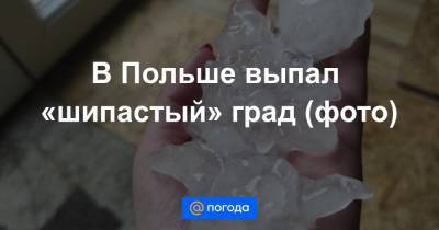 Анна Лысенко - В Польше выпал «шипастый» град (фото) - news.mail.ru - Австрия - Польша - Чехия - Словакия