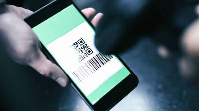 В России заблокировали более 200 сайтов по продаже медсправок, паспортов и QR-кодов - gazeta.ru - Россия