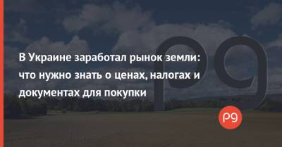 Денис Шмыгаль - В Украине заработал рынок земли: что нужно знать о ценах, налогах и документах для покупки - thepage.ua - Украина - Гражданство