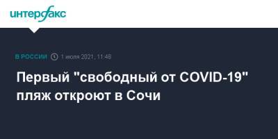 Первый "свободный от COVID-19" пляж откроют в Сочи - interfax.ru - Москва - Сочи