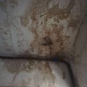 В Запорожье ливень затопил многоэтажку: кровлю отремонтировали в прошлом году. Фото. Видео - reporter-ua.com - Запорожье