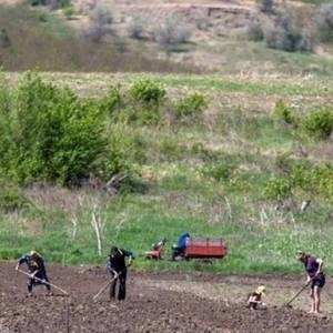 В Украине заработал рынок сельхозземель - reporter-ua.com - Украина