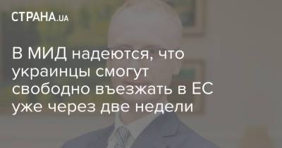 Дмитрий Кулебы - Олег Николенко - В МИД надеются, что украинцы смогут свободно въезжать в ЕС уже через две недели - strana.ua - Украина