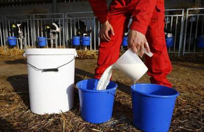 Украина намерена запретить импорт молока из Беларуси - agroportal.ua - Россия - Украина - Белоруссия