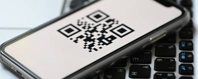 У сотрудников ФСБ и ФСО возникли трудности с получением QR-кодов для походов в кафе и рестораны - runews24.ru - Москва - Московская обл.