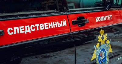 В Следкоме РФ сообщили о якобы задержании "украинских радикалов" в Белгороде - dsnews.ua - Россия - Украина - Белгород - район Белгородский