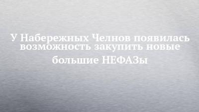 Наиль Магдеев - У Набережных Челнов появилась возможность закупить новые большие НЕФАЗы - chelny-izvest.ru - Россия - Набережные Челны - Камаз