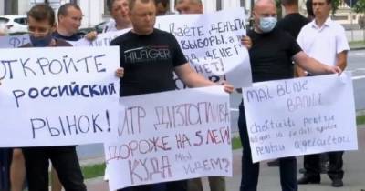 Молдавские фермеры пришли к президенту: «Санду, открой российский рынок!» - eadaily.com - Москва - Молдавия