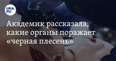Академик рассказала, какие органы поражает «черная плесень» - ura.news