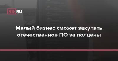 Малый бизнес сможет закупать отечественное ПО за полцены - rb.ru - Россия