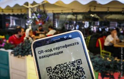 Дмитрий Песков - Кремль признал проблемы с системой QR-кодов в Москве - interfax.ru - Москва - Россия