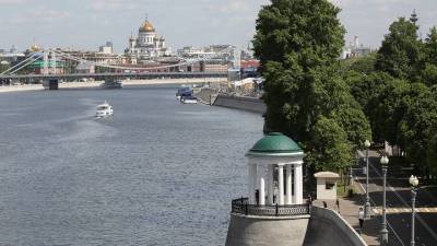 Мосприрода летом выпустит серию видеоподкастов об экологии столицы - vm.ru - Экология
