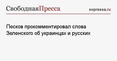 Владимир Зеленский - Владимир Путин - Дмитрий Песков - Си Цзиньпин - Песков прокомментировал слова Зеленского об украинцах и русских - svpressa.ru - Россия - Китай - Украина