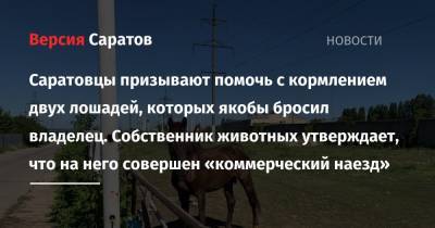 Саратовцы призывают помочь с кормлением двух лошадей, которых якобы бросил владелец. Собственник животных утверждает, что на него совершен «коммерческий наезд» - nversia.ru