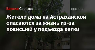 Жители дома на Астраханской опасаются за жизнь из-за повисшей у подъезда ветки - nversia.ru - район Фрунзенский