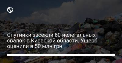 Спутники засекли 80 нелегальных свалок в Киевской области. Ущерб оценили в 50 млн грн - liga.net - Украина - Киевская обл.