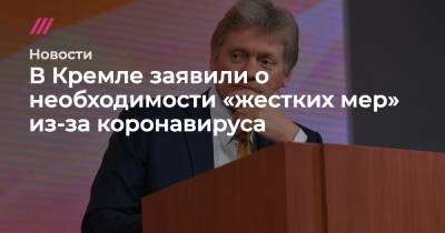 Михаил Мишустин - Анна Попова - В Кремле заявили о необходимости «жестких мер» из-за коронавируса - tvrain.ru - Москва - Россия