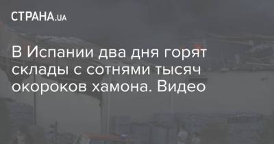 В Испании два дня горят склады с сотнями тысяч окороков хамона. Видео - strana.ua - Украина - Испания