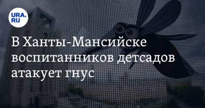 В Ханты-Мансийске воспитанников детсадов атакует гнус - ura.news - Ханты-Мансийск