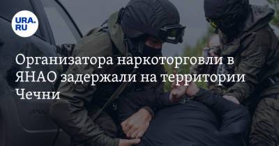 Организатора наркоторговли в ЯНАО задержали на территории Чечни. На него работали несовершеннолетние - ura.news - Воронежская обл. - респ. Чечня - Салехард - окр. Янао