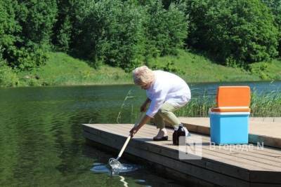 17 нижегородских водоемов проверит Россельхознадзор из-за участившихся случаев церкариоза - vgoroden.ru - Нижегородская обл. - Нижний Новгород