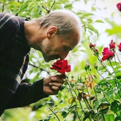 Петр Мамонов - Петр Мамонов экстренно госпитализирован с коронавирусом - actualnews.org