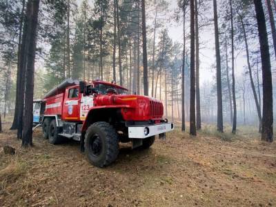 На борьбу с пожарами в Якутию направлены дополнительные силы - tvc.ru - респ. Саха - Оренбургская обл.