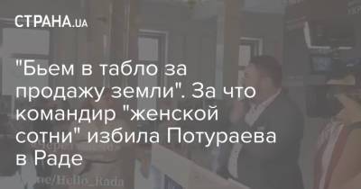 Никита Потураев - "Бьем в табло за продажу земли". За что командир "женской сотни" избила Потураева в Раде - strana.ua - Украина