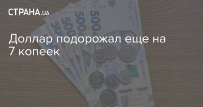 Доллар подорожал еще на 7 копеек - strana.ua - Украина