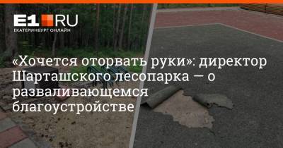 «Хочется оторвать руки»: директор Шарташского лесопарка — о разваливающемся благоустройстве - e1.ru - Екатеринбург