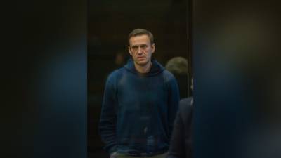 Владимир Путин - Леонид Волков - Навальный - Соратники отбывающего срок Навального получили криптовалютный перевод в день прямой линии - newinform.com - Россия - Владимирская обл.
