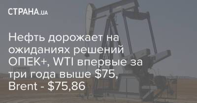 Нефть дорожает на ожиданиях решений ОПЕК+, WTI впервые за три года выше $75, Brent - $75,86 - strana.ua - Украина - Лондон - Нью-Йорк