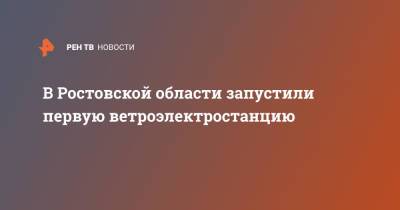 В Ростовской области запустили первую ветроэлектростанцию - ren.tv - Ростовская обл.