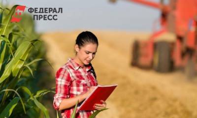 Владимир Кашин - «Цены будут расти». В Госдуме оценили угрозу засухи - fedpress.ru - Москва - Россия
