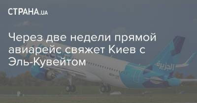 Через две недели прямой авиарейс свяжет Киев с Эль-Кувейтом - strana.ua - Украина - Кувейт