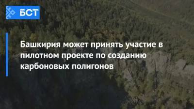 Башкирия может принять участие в пилотном проекте по созданию карбоновых полигонов - bash.news - Башкирия - Экология