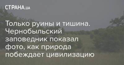 Только руины и тишина. Чернобыльский заповедник показал фото, как природа побеждает цивилизацию - strana.ua - Украина