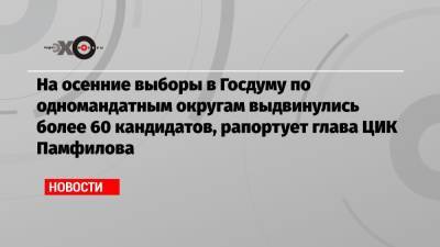 Элла Памфилова - На осенние выборы в Госдуму по одномандатным округам выдвинулись более 60 кандидатов, рапортует глава ЦИК Памфилова - echo.msk.ru - Хабаровский край - респ. Чечня - Тульская обл.