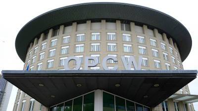Алексей Навальный - Александр Шульгин - В России отметили нестыковки в датах поездки экспертов ОЗХО в Германию - gazeta.ru - Россия - Германия