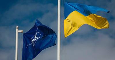 Владимир Зеленский - Алексей Резников - На Украине рассказали, когда страна выступит в НАТО - ren.tv - Украина - Киев