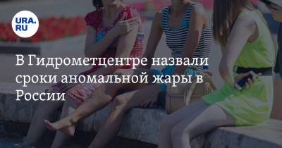 Роман Вильфанд - В Гидрометцентре назвали сроки аномальной жары в России - ura.news - Россия