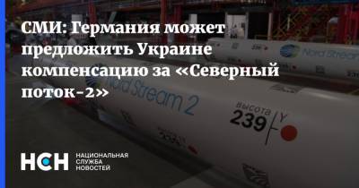 Владимир Зеленский - Ангела Меркель - Денис Шмыгаль - СМИ: Германия может предложить Украине компенсацию за «Северный поток-2» - nsn.fm - Украина - Киев - Германия - Берлин
