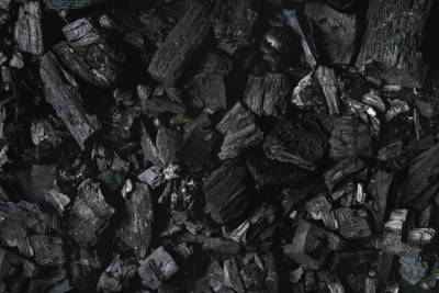 Погрузка каменного угля на железной дороге в Новосибирской области в июне увеличилась на 8% - novos.mk.ru - Новосибирская обл.