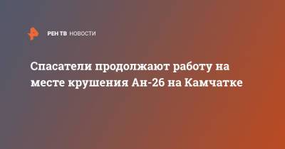 Спасатели продолжают работу на месте крушения Ан-26 на Камчатке - ren.tv - Россия - Камчатский край