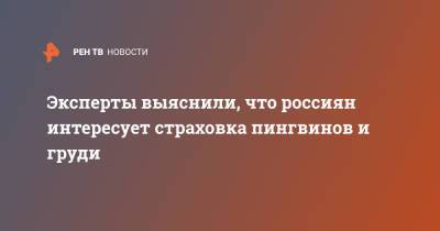 Дженнифер Лопес - Эксперты выяснили, что россиян интересует страховка пингвинов и груди - ren.tv - США