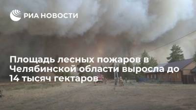 Площадь лесных пожаров в Челябинской области возросла почти втрое, до 14 тысяч гектаров - ria.ru - Россия - Екатеринбург - Челябинская обл.