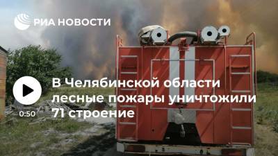 Илья Денисов - Лесные пожары уничтожили 71 строение в поселках Джабык и Запасное в Челябинской области - ria.ru - Россия - Екатеринбург - Челябинская обл.
