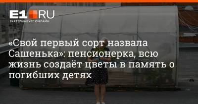 Алла Пугачева - Филипп Киркоров - Артем Устюжанин - «Свой первый сорт назвала Сашенька»: пенсионерка, всю жизнь создаёт цветы в память о погибших детях - e1.ru - Россия - Екатеринбург