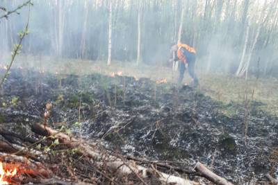 Больше пяти часов тушили лесной пожар в Южском районе - mkivanovo.ru